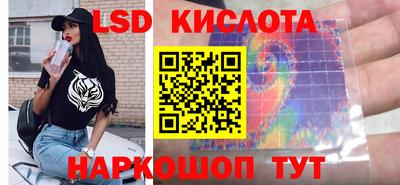 гидропоника Пенза