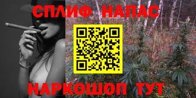 гидропоника Пенза