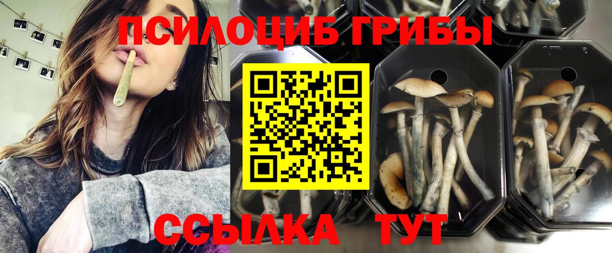 Галлюциногенные грибы ЛСД Янаул