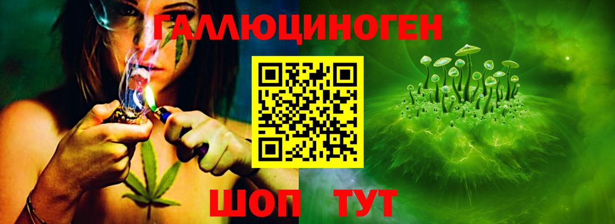 Псилоцибиновые грибы Psilocybine cubensis  Вход с VPN  Янаул 